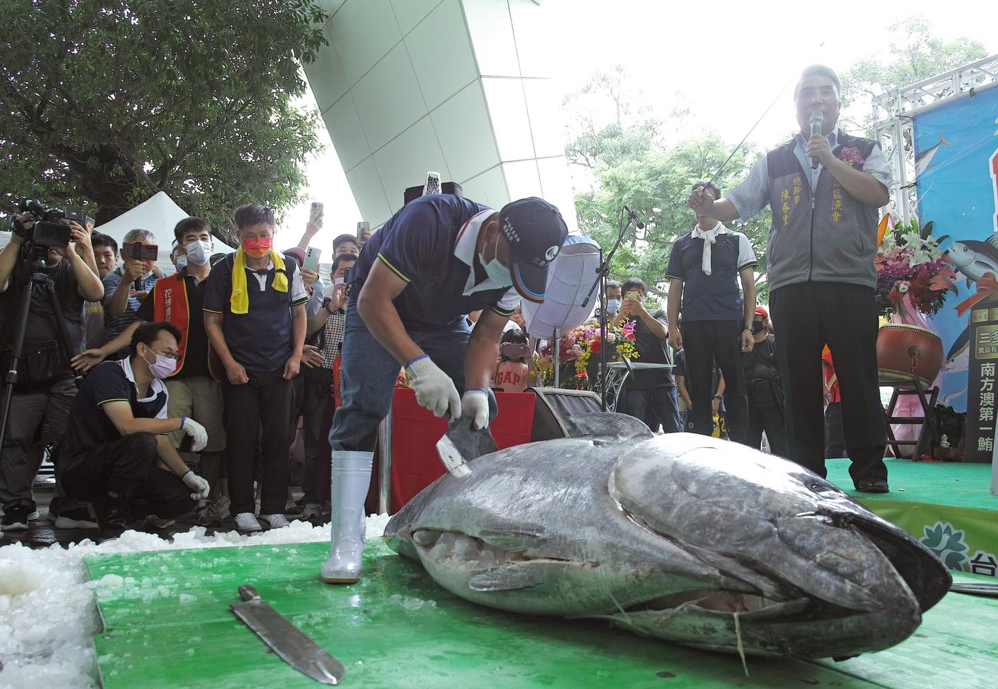 ▲蘇澳×淡水漁會聯手出擊！6月6日起全臺巡迴黑鮪魚促銷，鮮美料理免費嚐！（圖／主辦單位提供）